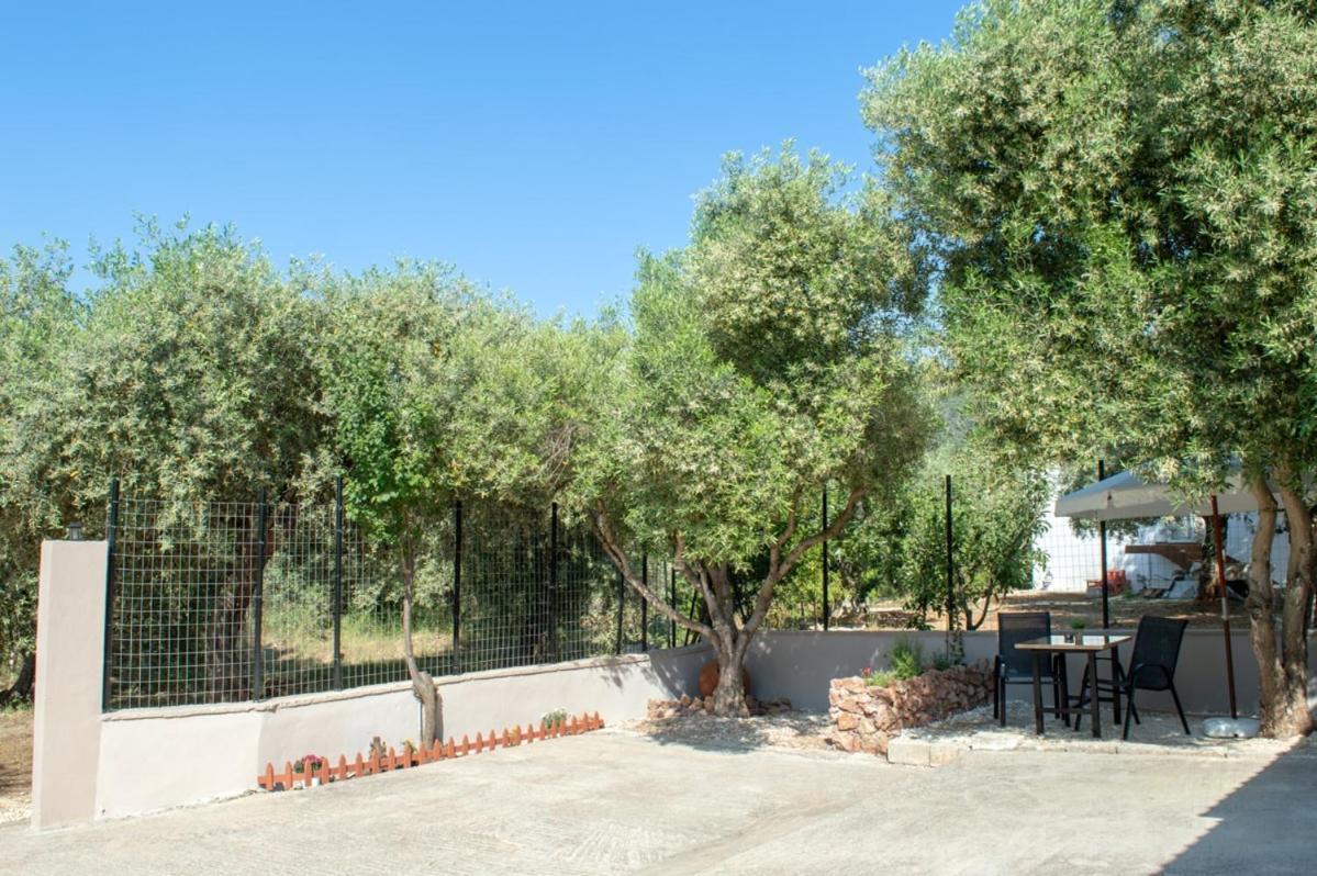 Garden View Apartment