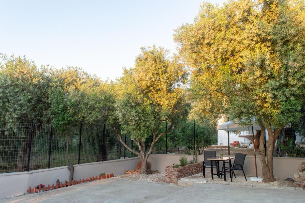 Garden View *